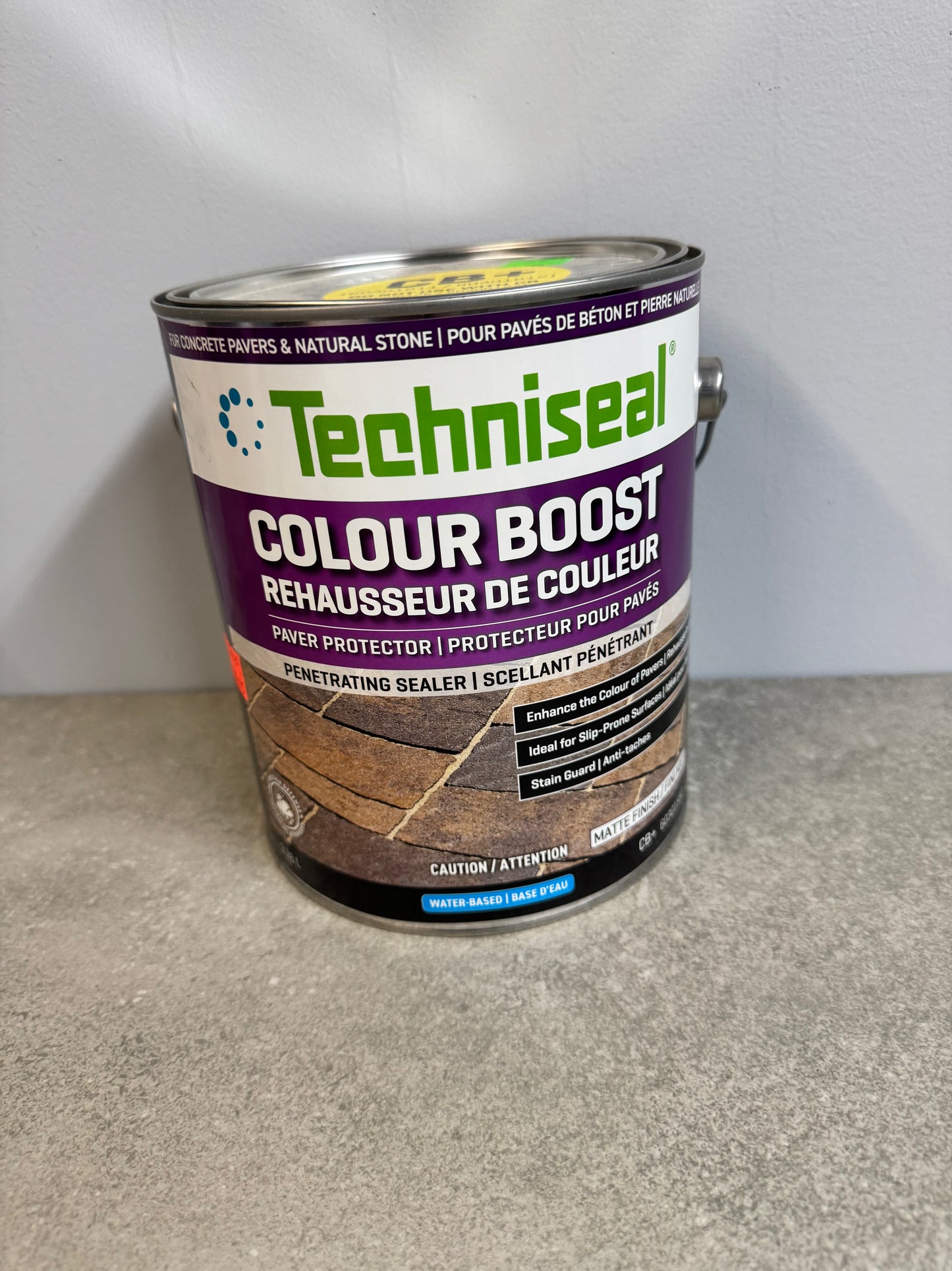 Techinseal Matte Finish Sealer